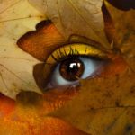brown maple leaf with person s eye