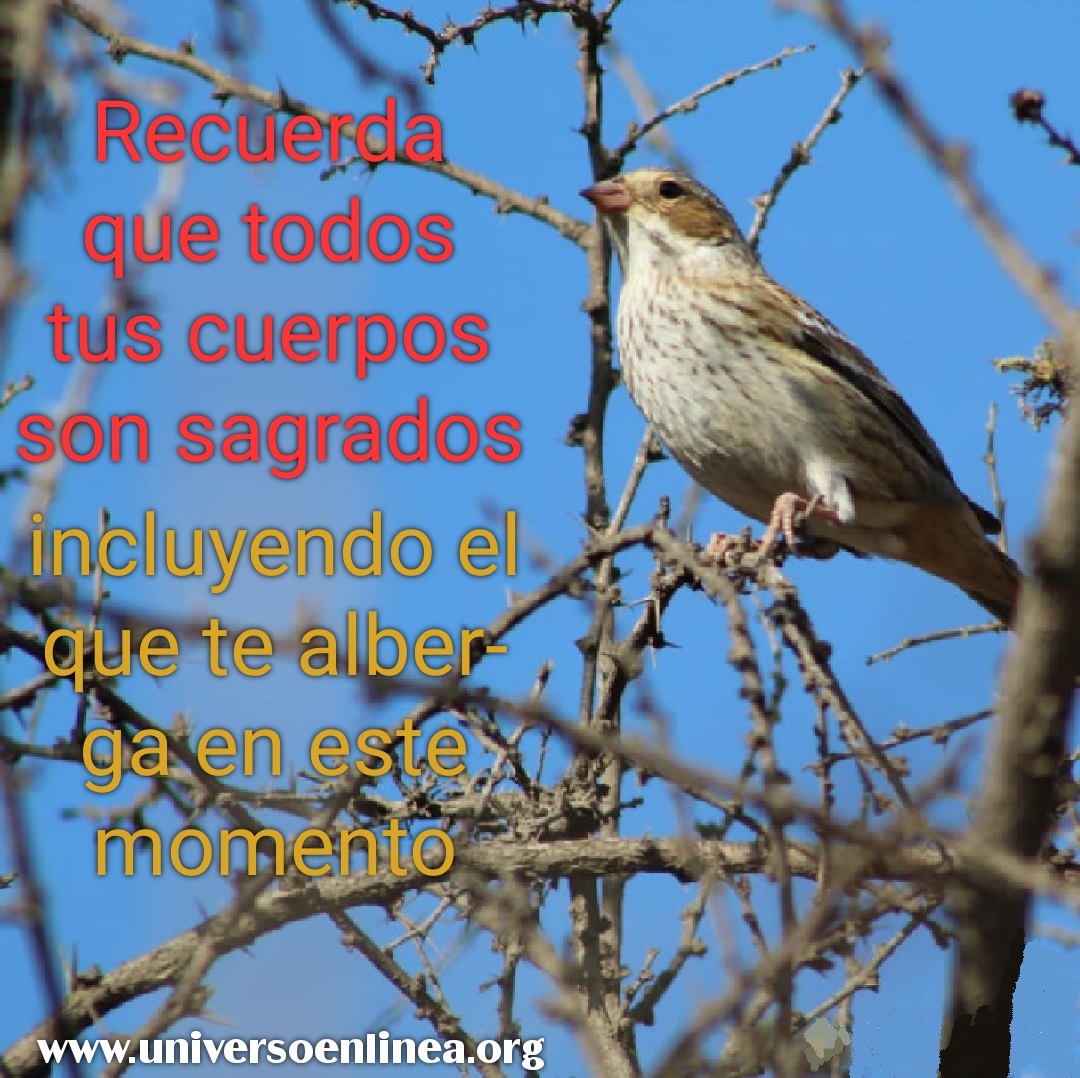 CUERPOS-SAGRADOS