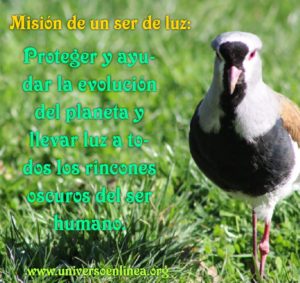 MISION-DE-UN-SER-DE-LUZ-F
