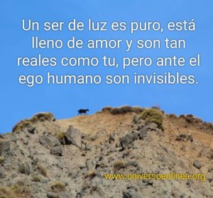 ser-de-luz-es-amor-final