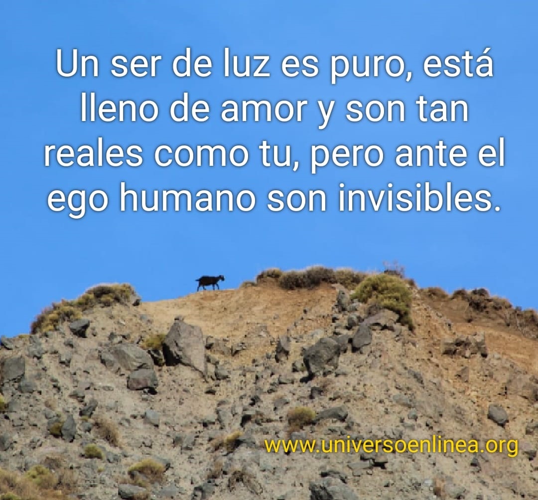 ser-de-luz-es-amor-final