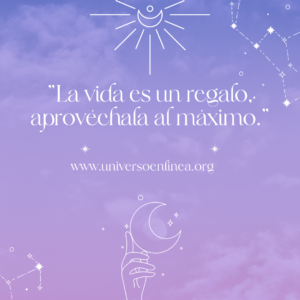 Lote-1-post-de-instagram-espiritualidad-1111-morado-3