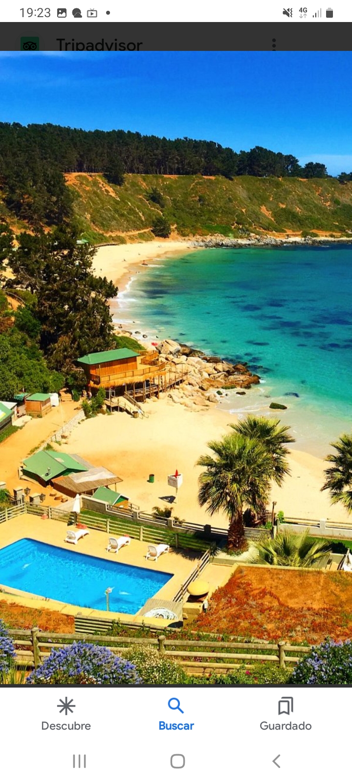 Screenshot_20240303-192317_Google